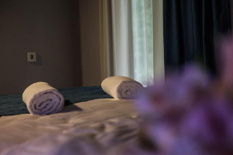 Borjomi Underwood Hotel image