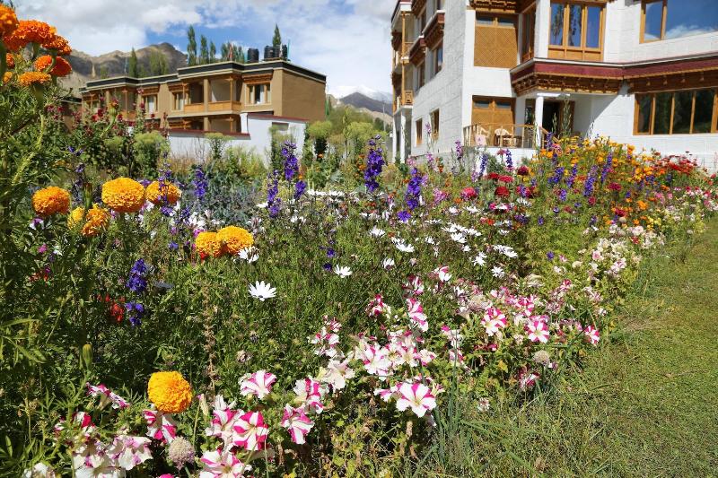 Ladakh Himalayan Retreat image