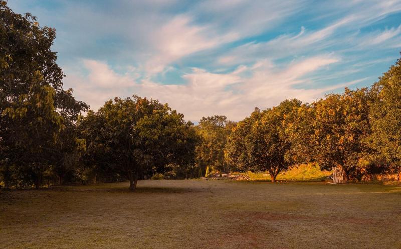 The Sylvan Retreat — main photo