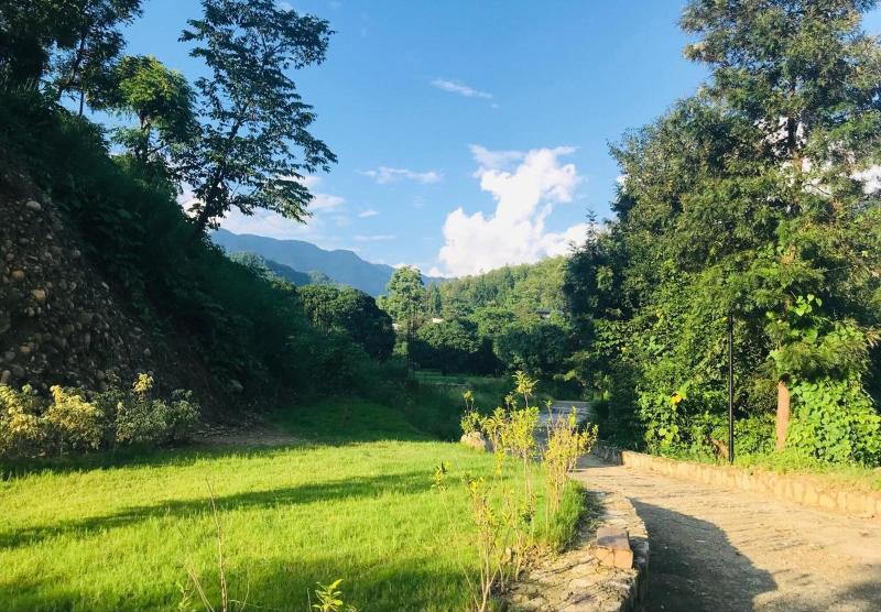 The Sylvan Retreat — photo 19