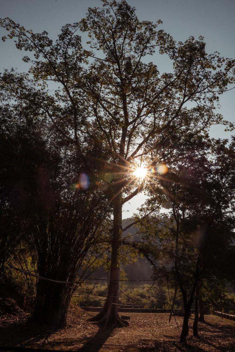 The Sylvan Retreat — photo 41