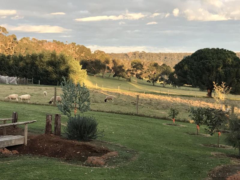 The Grange on Kalgan B&B Pets Ok Albany image