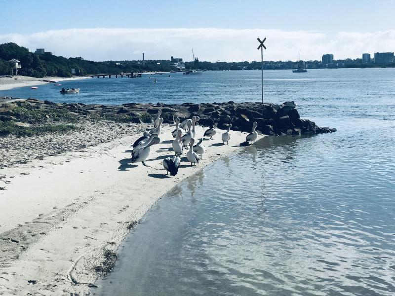 XYL Seaside Homestay image