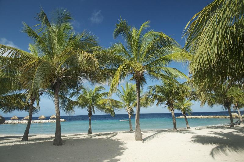 Blue Bay Lodges image