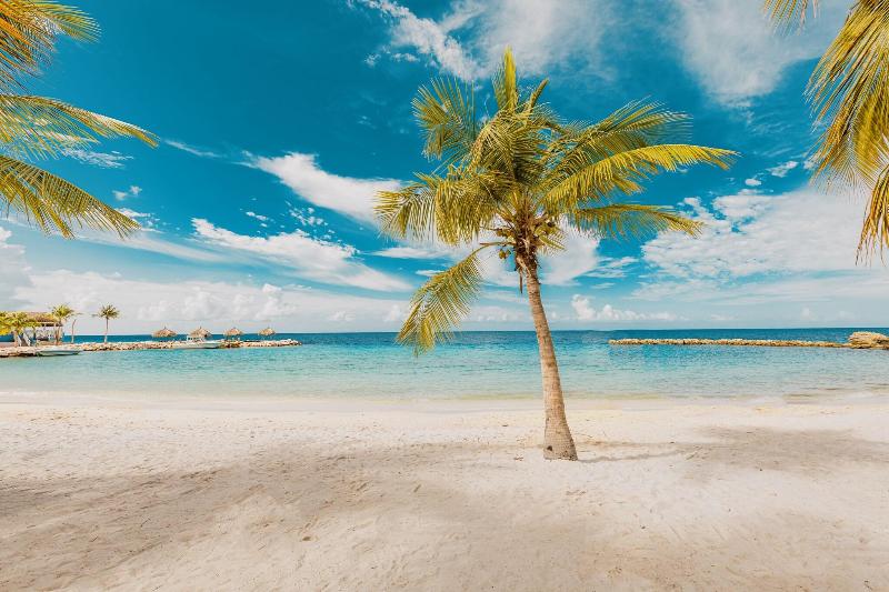 Blue Bay Lodges image