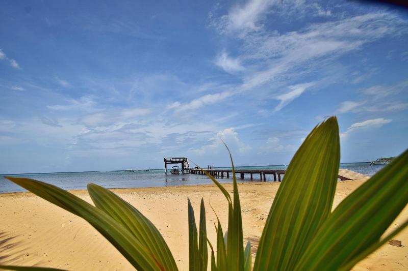 Blue Bahia Resort — general view