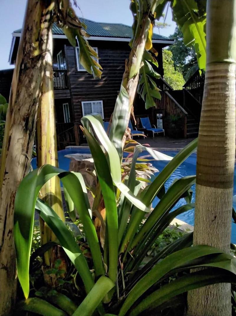 Blue Bahia Resort image