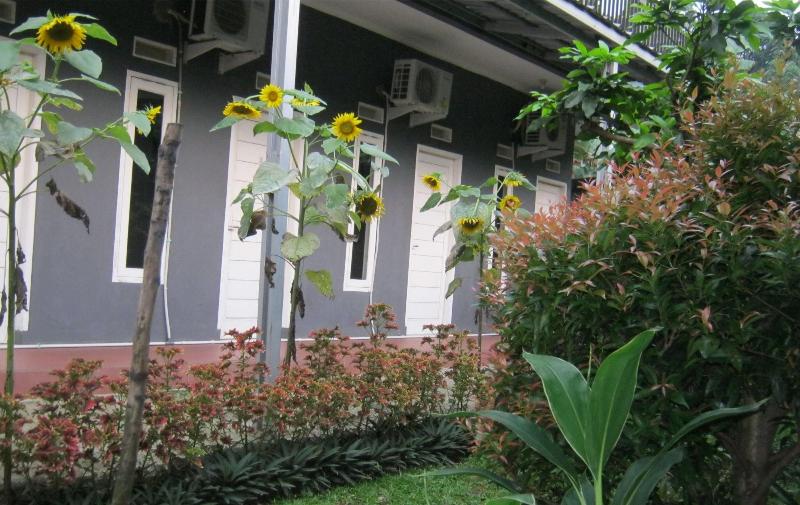 Aqilakost Rooms image