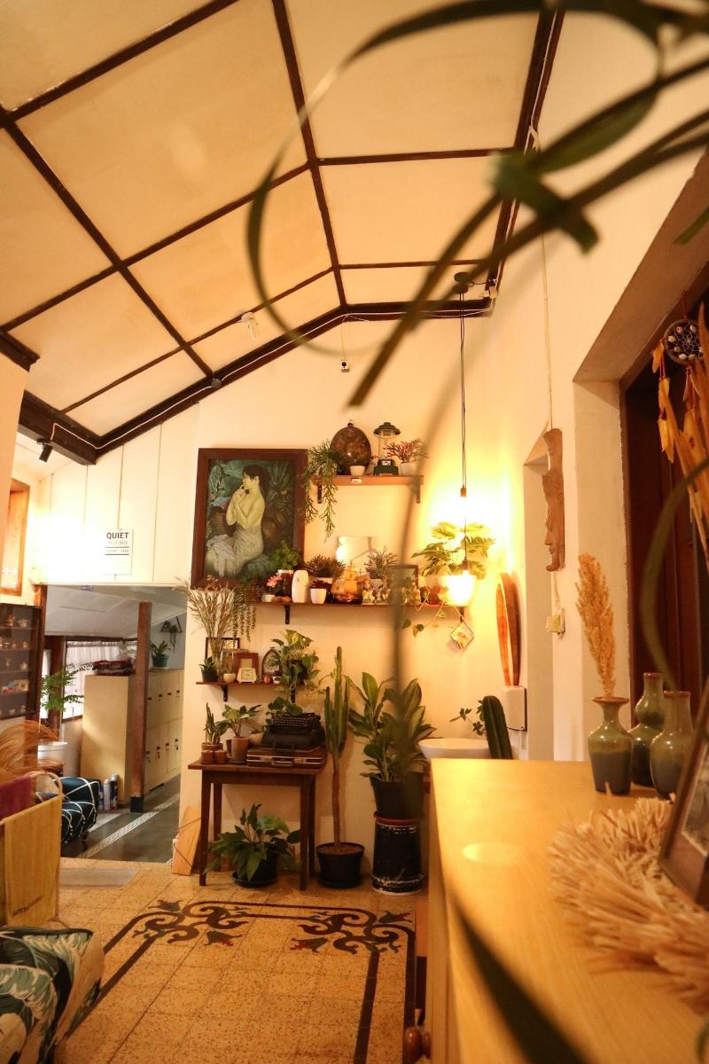 Semeru Hostel Malang - Adults Only image