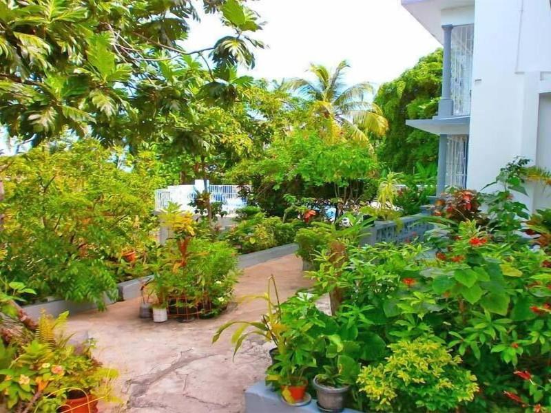 Palm View Guesthouse and Conference Centre image