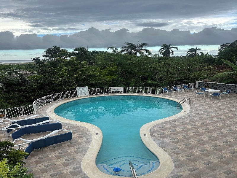 Palm View Guesthouse and Conference Centre image