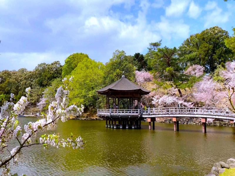 Henn na Hotel Nara image
