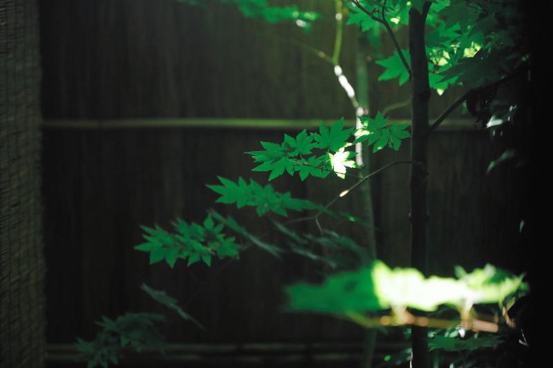 Tsukihi House Kyoto image