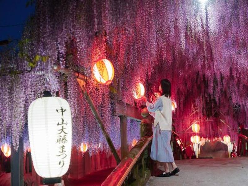Hotel Torifito Hakata Gion image