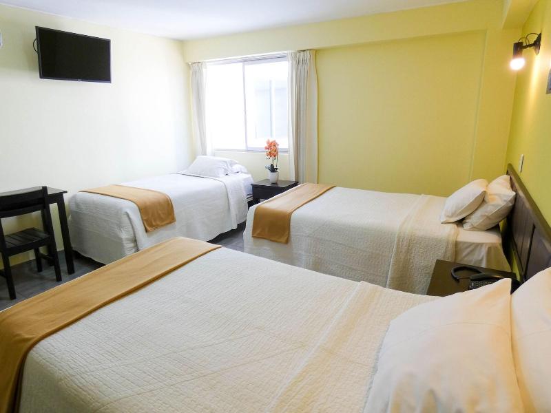 Hotel Plaza Tacna Sauna & Spa image