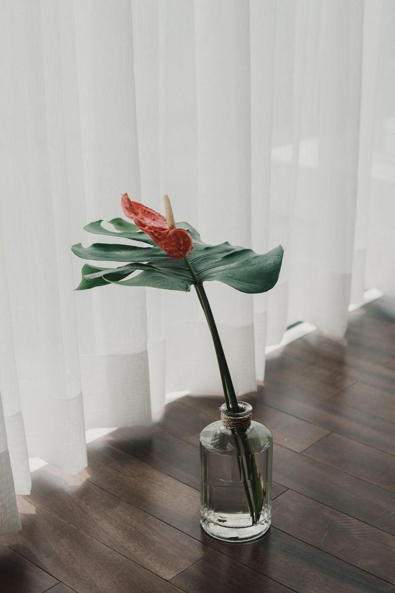 Andaman House image