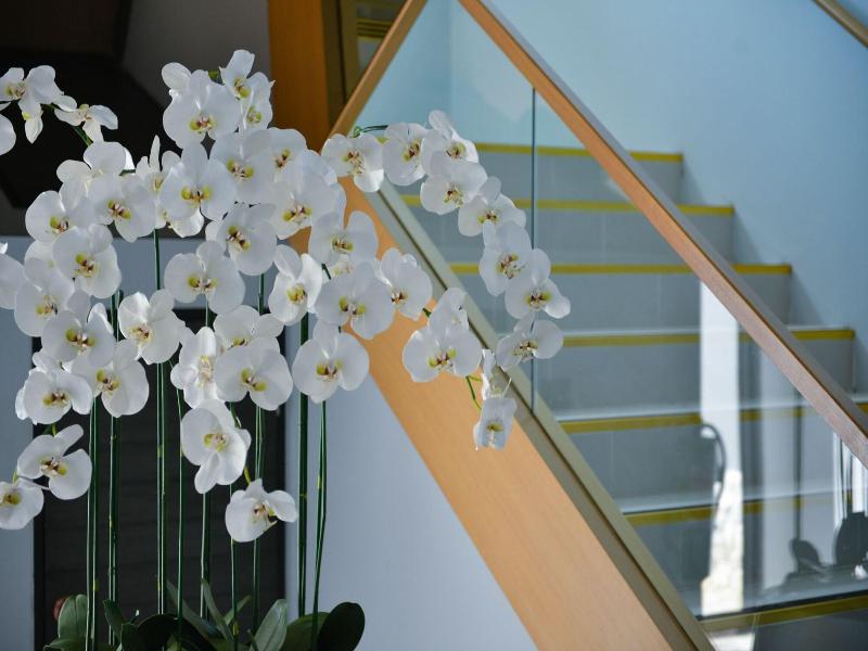 Sappaya Hotel by Lotus Valley Golf Resort image