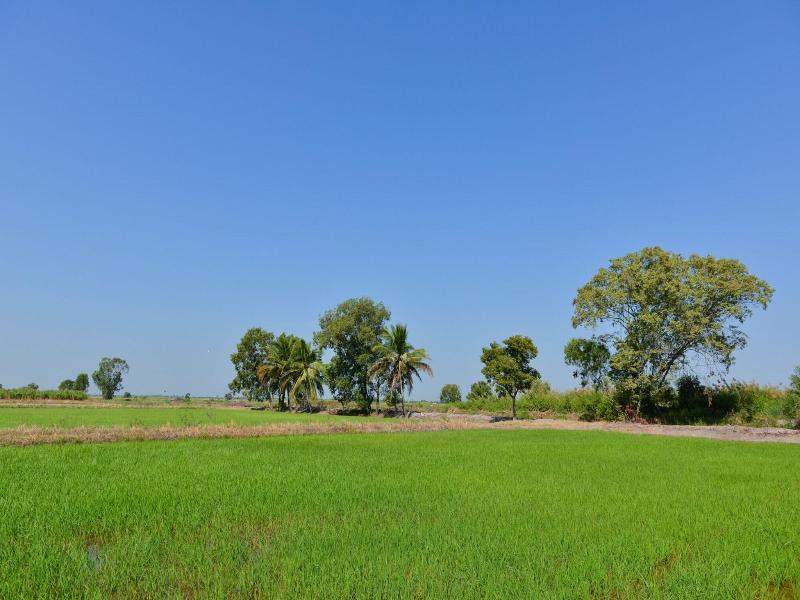 Sappaya Hotel by Lotus Valley Golf Resort image