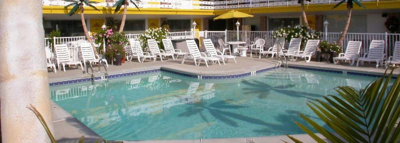 American Safari Motel image