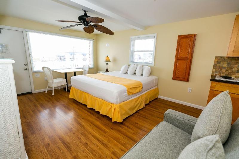American Safari Motel image