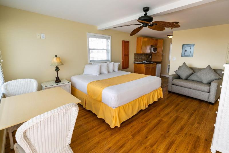 American Safari Motel image