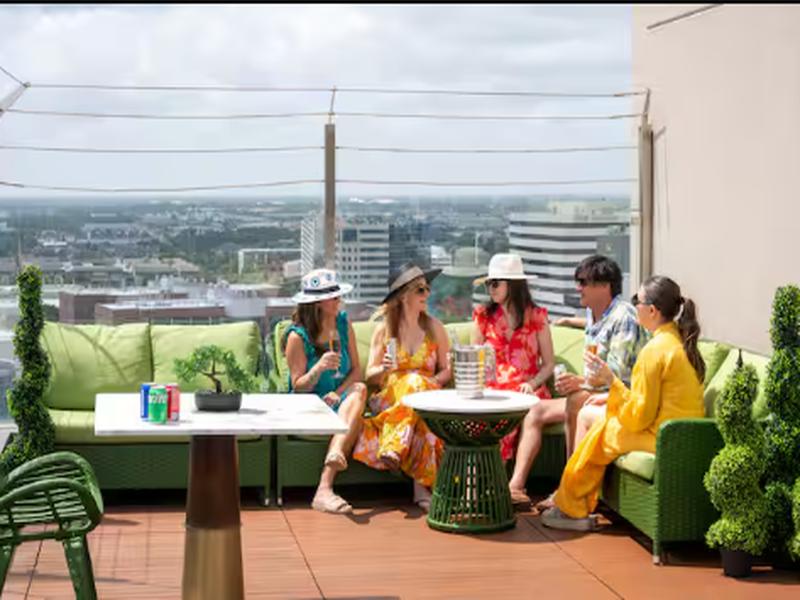 Blossom Hotel Houston, Curio Collection by Hilton image
