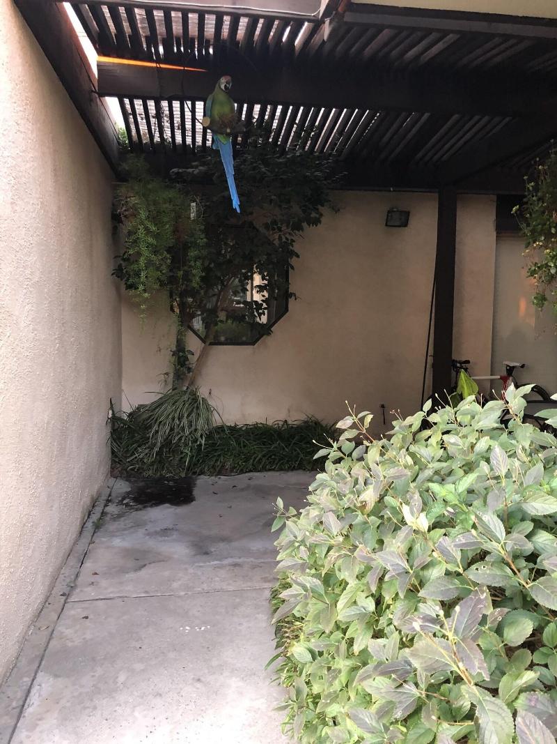 Beautiful House Fantastic View Azusa California image