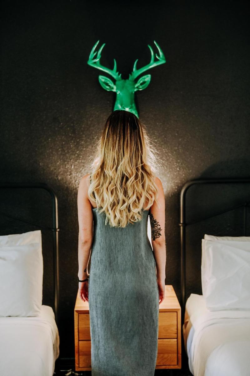 Wimberley Inn image