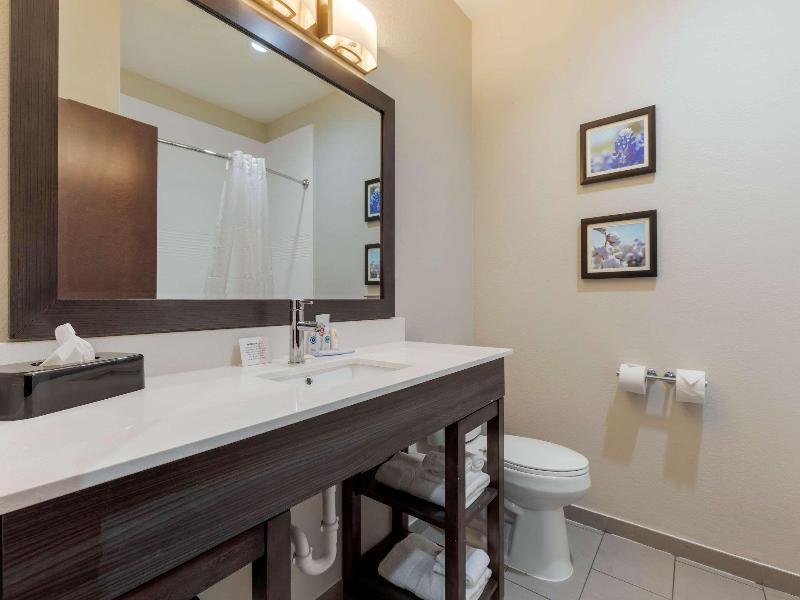 Comfort Inn & Suites Balch Springs - SE Dallas image