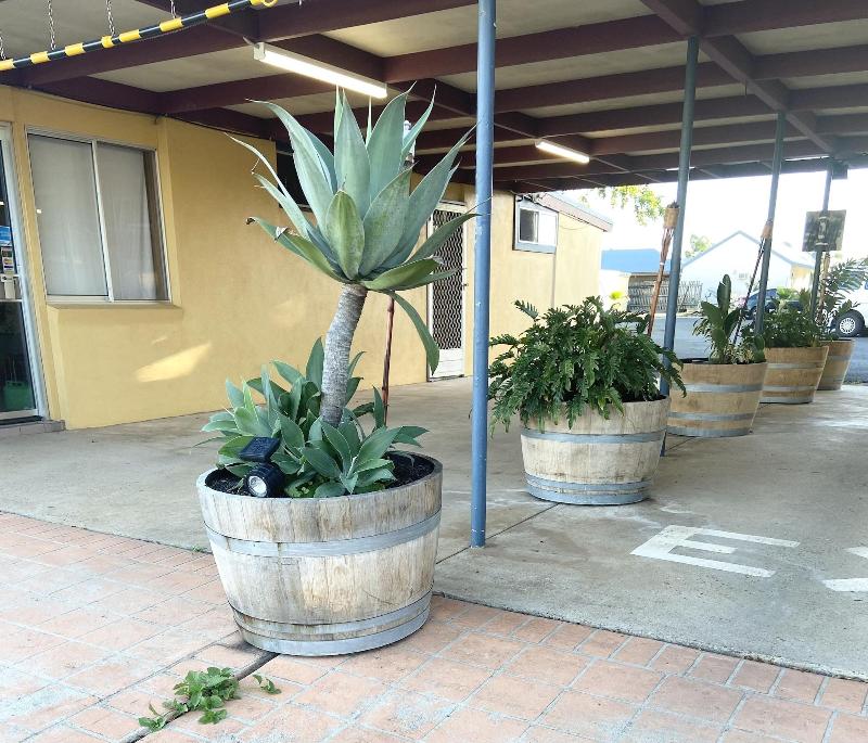 Proserpine Motor Lodge image