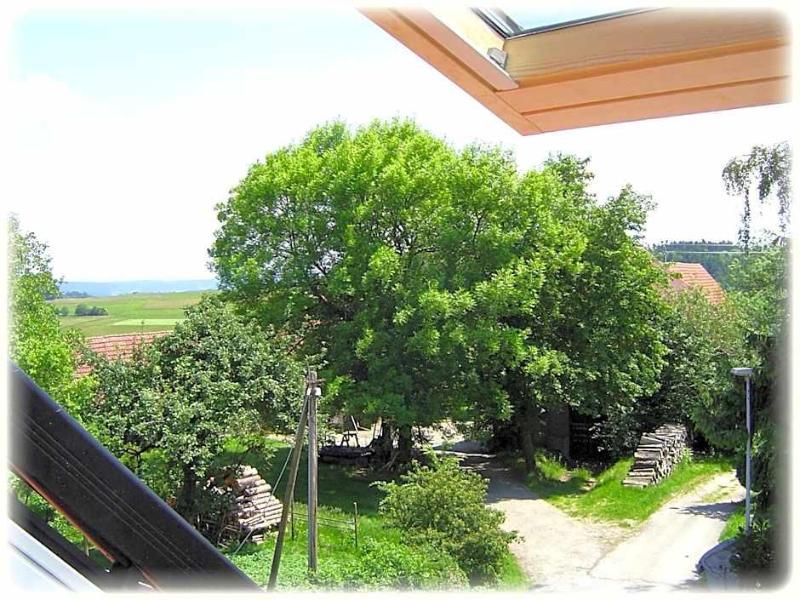 Gasthof Traube image