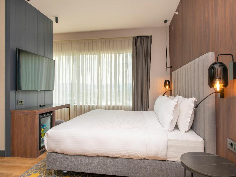 Crowne Plaza Ankara image