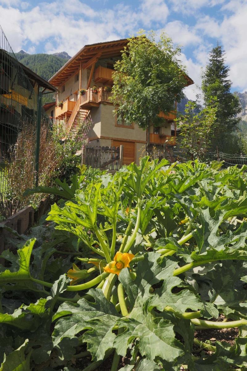 Albergo Locanda Mistral image