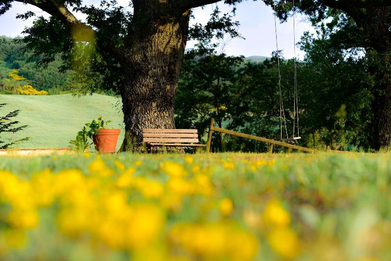 Agriturismo Le Casaline image