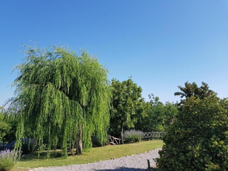 Agriturismo Le Casaline image