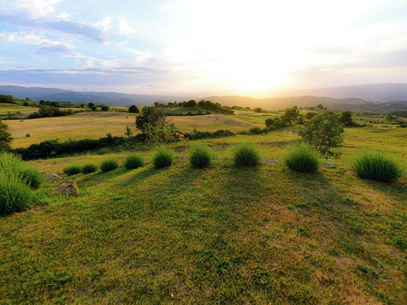 Agriturismo Le Casaline image