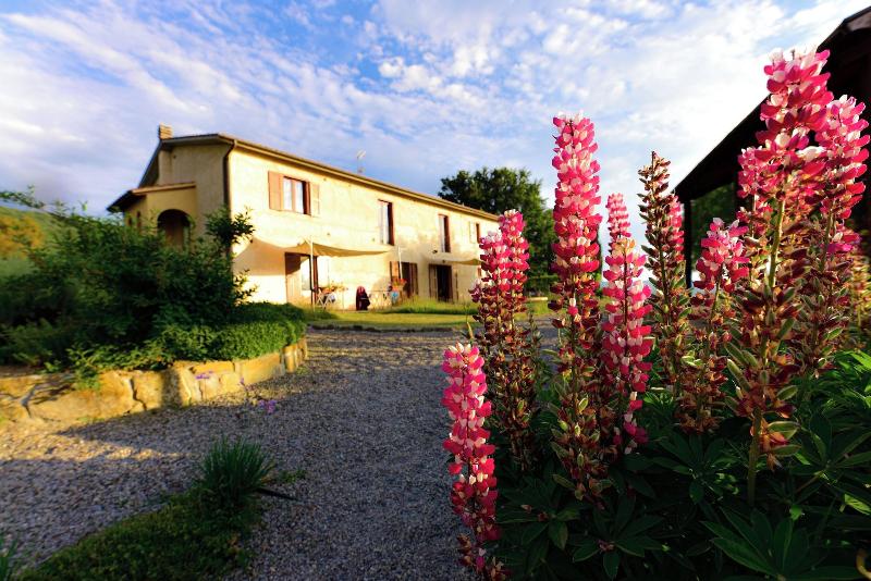 Agriturismo Le Casaline image
