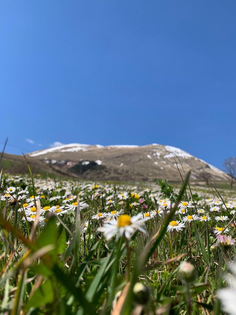 La Fattoria dei Sibillini image