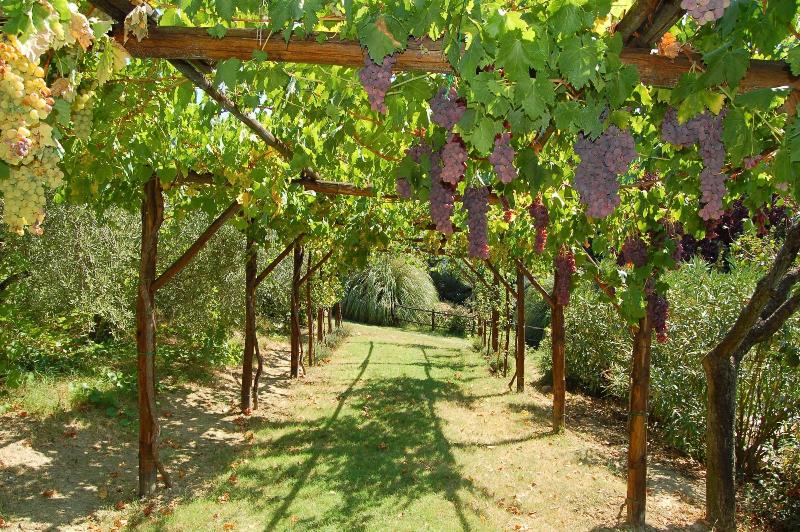 Agriturismo Casale dei Frontini image