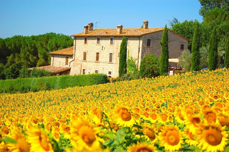 Agriturismo Casale dei Frontini image