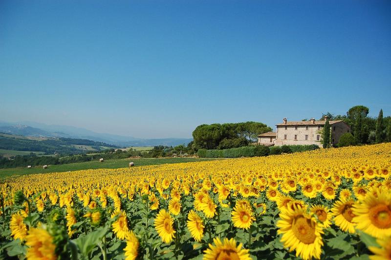 Agriturismo Casale dei Frontini image