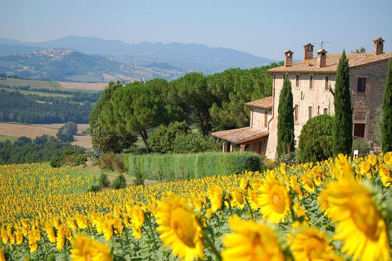 Agriturismo Casale dei Frontini image
