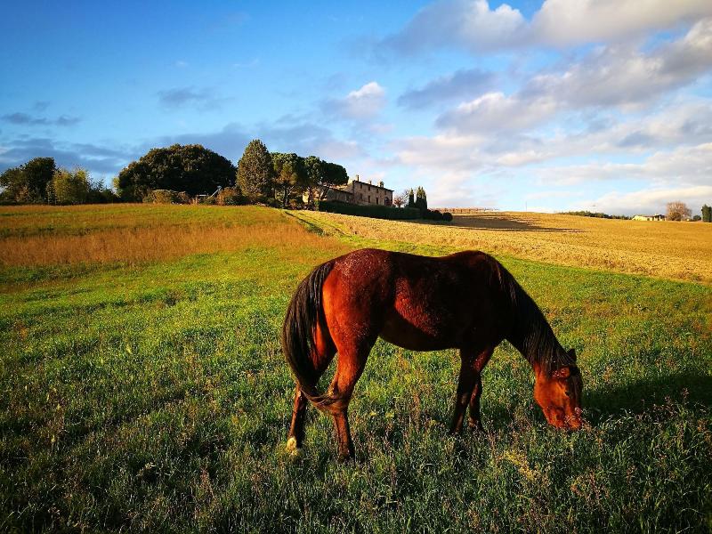 Agriturismo Casale dei Frontini image