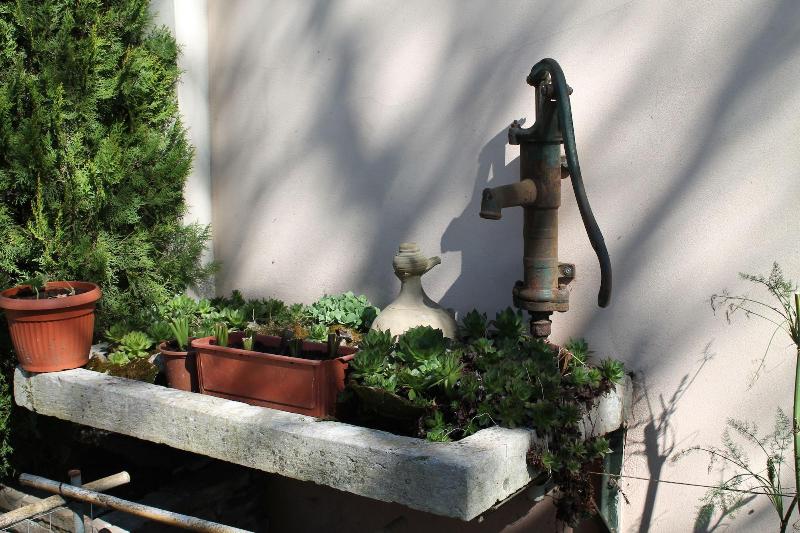 Agriturismo Le Clementine image
