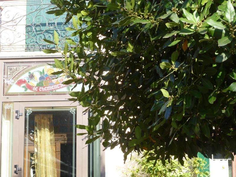 Agriturismo Le Clementine image