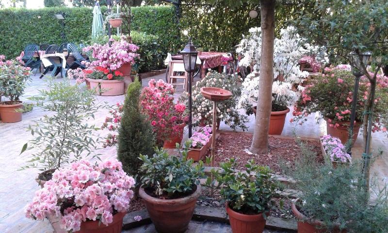 Agriturismo Le Clementine image