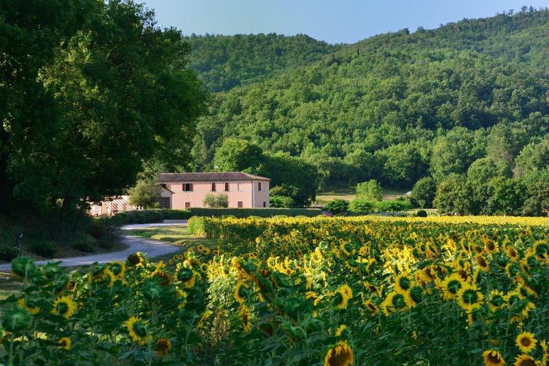 Agriturismo Il Corniolo image