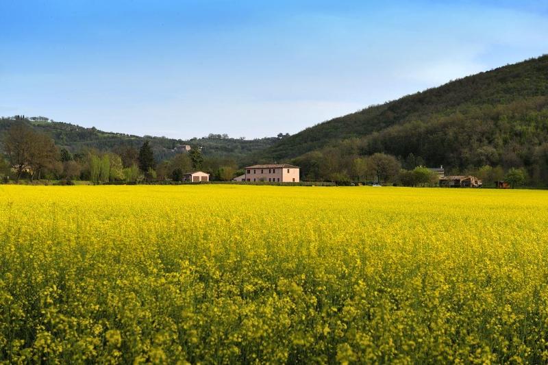Agriturismo Il Corniolo image