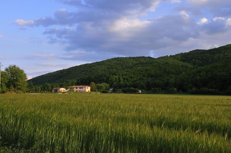 Agriturismo Il Corniolo image