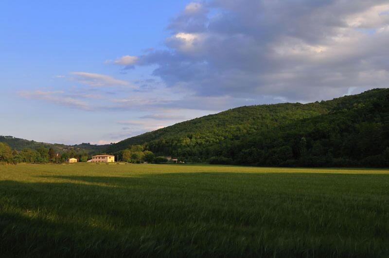 Agriturismo Il Corniolo image